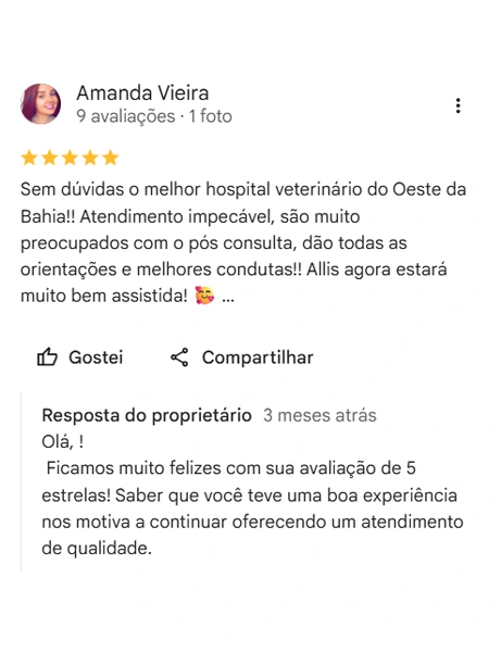 Avaliação real de tutor no Google