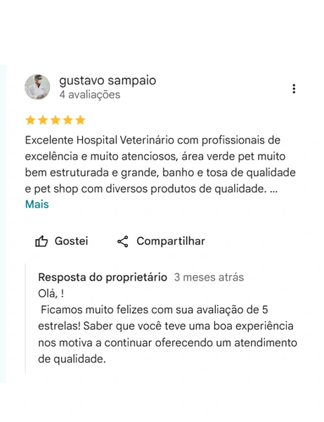 Avaliação real de tutor no Google